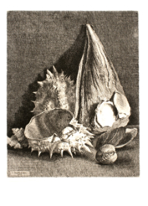 CASTELLANI :: Il mare nello studio