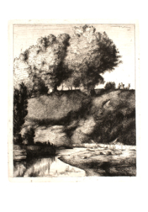 CASTELLANI :: L'Arzilla