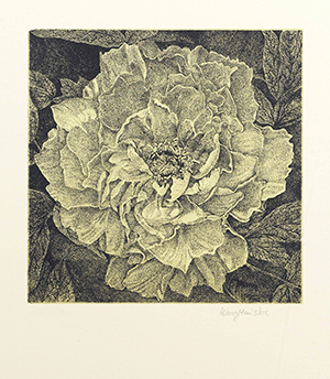 Cosi e la rosa Haishu Wang web 300