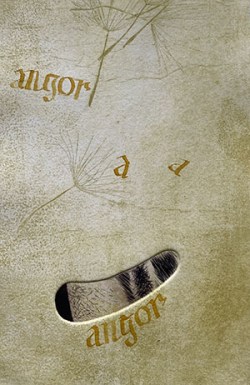 Copertina: Effluvi düreriani di Agostino Arrivabene