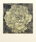 Cartella n. 22 - Estate 2016 - Haishu Wang: "Così è la rosa!"