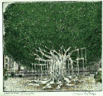 Cartella N.3 - Natale 1997: Salvatore Silvano Nigro / Bruno Caruso: "Il ficus di Piazza Marina"