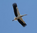 E' nata l'Area Nord!