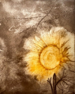 Cartella n. 26 - Aere